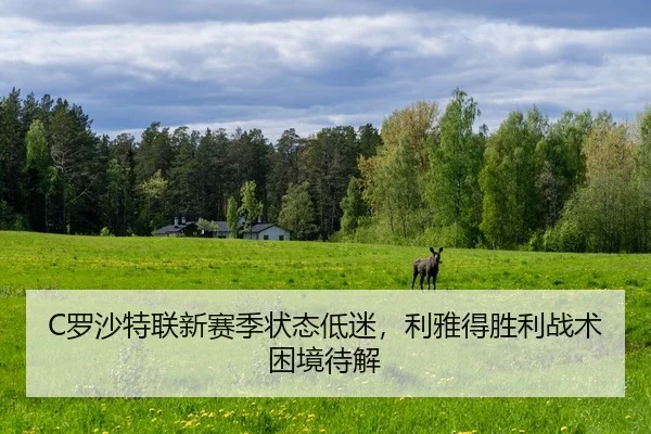 C罗沙特联新赛季状态低迷，利雅得胜利战术困境待解